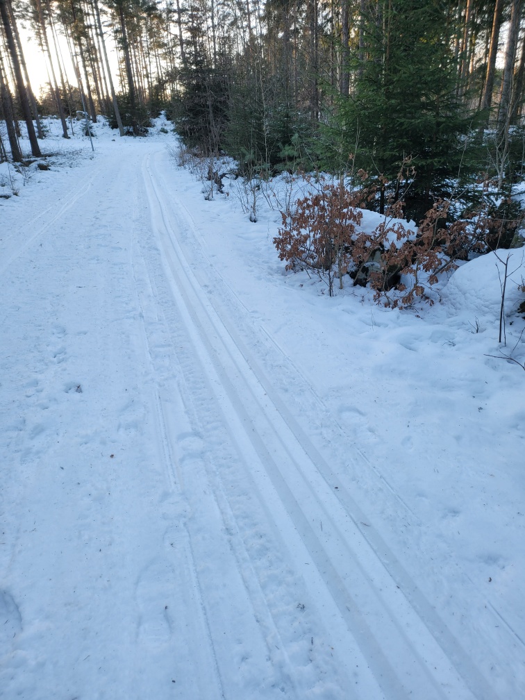 Skidglädje trots blidväder – spåren på Petersburg håller!